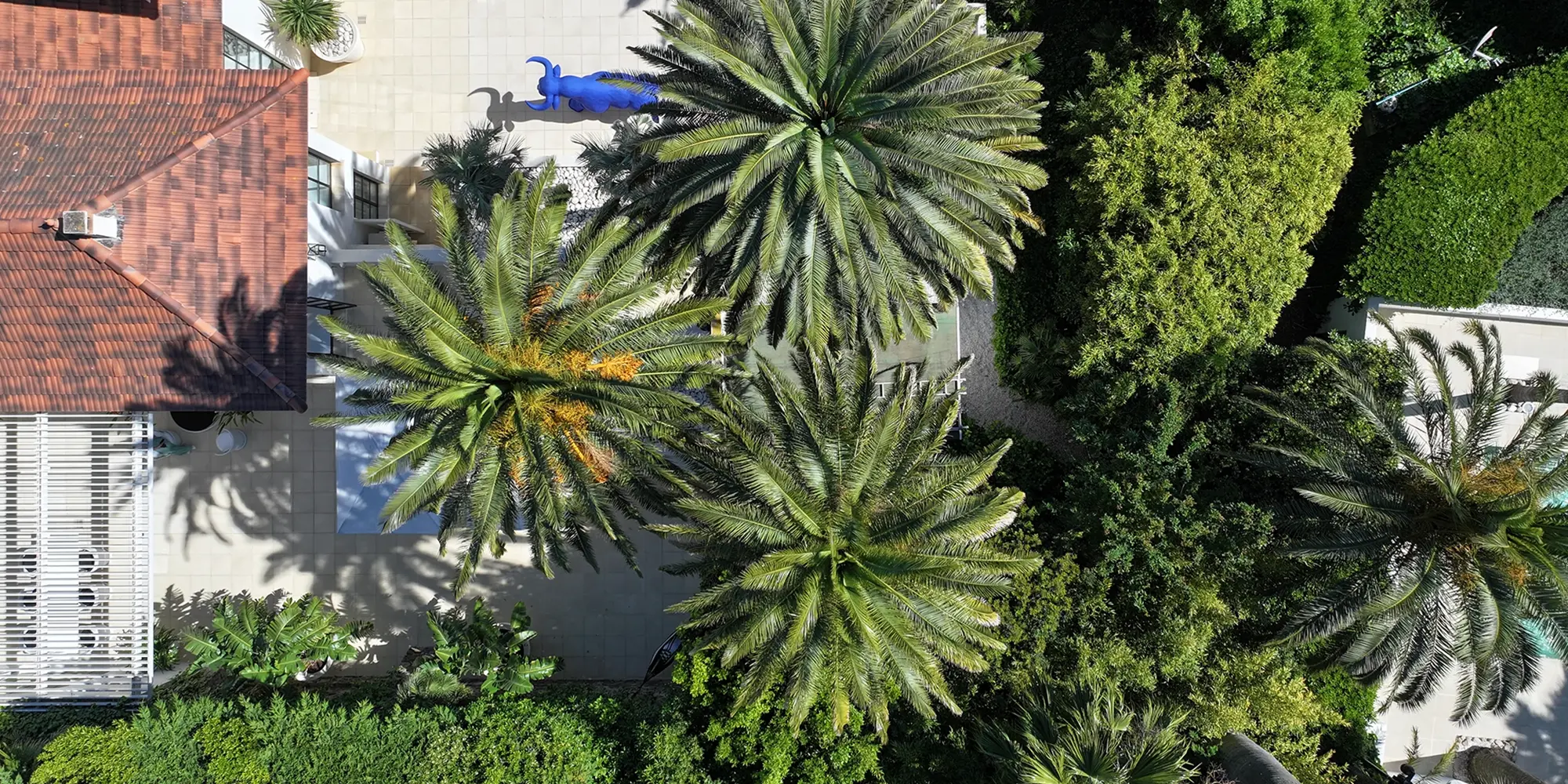 umas férias em Mandelieu-la-Napoule